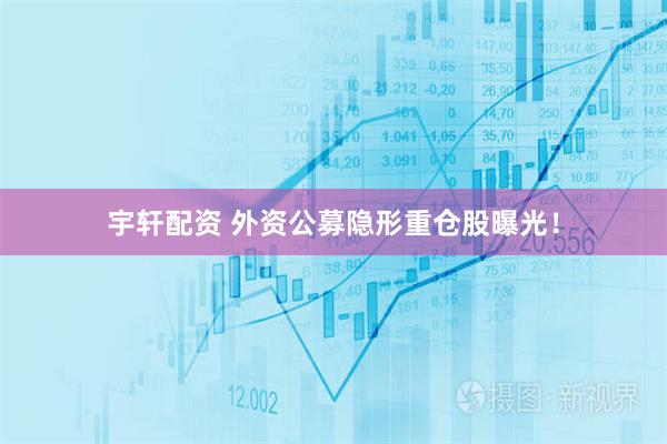 宇轩配资 外资公募隐形重仓股曝光！