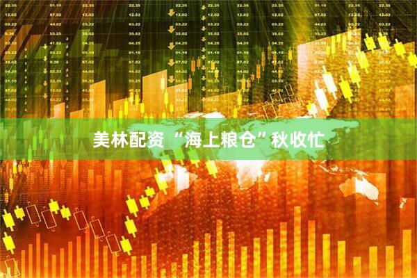 美林配资 “海上粮仓”秋收忙