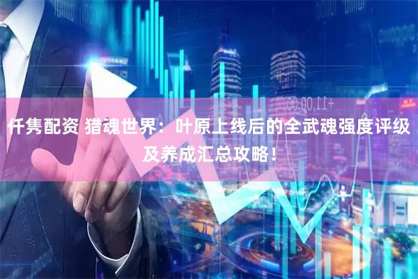 仟隽配资 猎魂世界：叶原上线后的全武魂强度评级及养成汇总攻略！