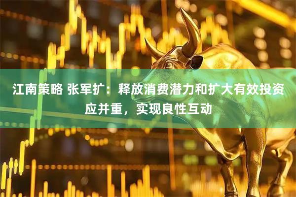 江南策略 张军扩：释放消费潜力和扩大有效投资应并重，实现良性互动