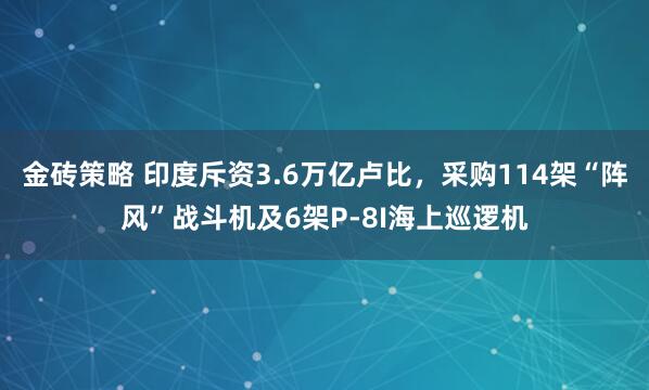 金砖策略 印度斥资3.6万亿卢比，采购114架“阵风”战斗机及6架P-8I海上巡逻机
