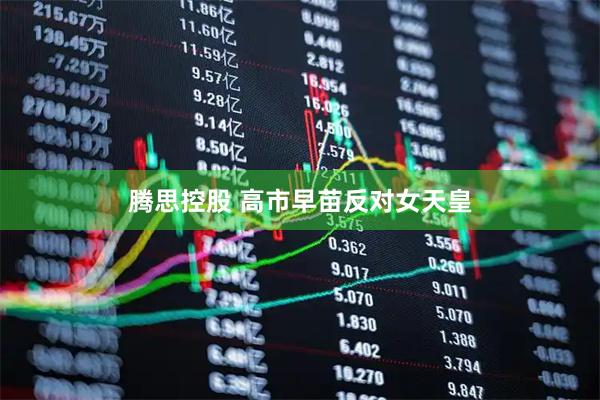 腾思控股 高市早苗反对女天皇